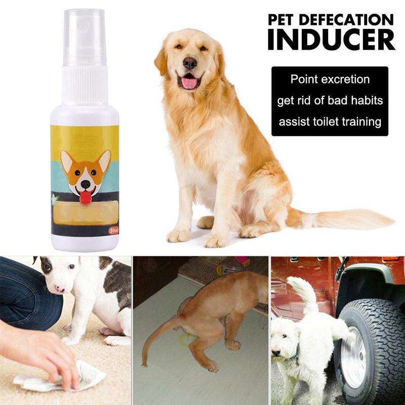 1PCS Dog Potty Train Spray Por - Travel Accessories Dropshipping 评论和价格